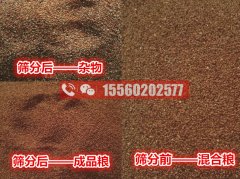 海藻籽篩分機，清選除雜效果好的機器